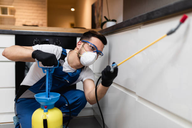 Best Flea Control Services  in Zephyrhills, FL