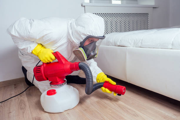 Wasp Removal Services in Zephyrhills, FL