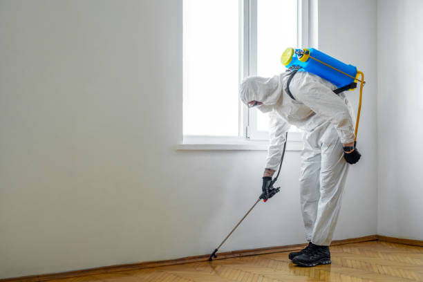 Best Local Pest Control Services  in Zephyrhills, FL