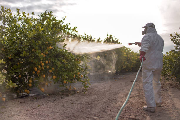 Trusted Zephyrhills, FL Pest Control Experts