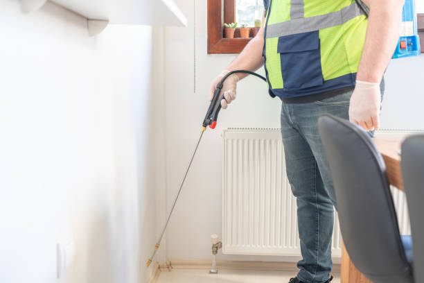 Best Bed Bug Extermination  in Zephyrhills, FL