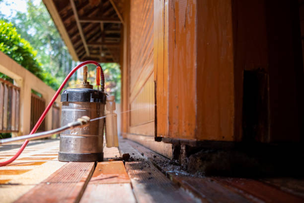 Best Exterminator Services  in Zephyrhills, FL